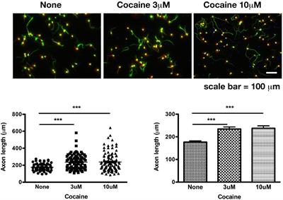 Non-canonical Targets Mediating the Action of Drugs of Abuse: Cocaine at the Sigma-1 Receptor as an Example